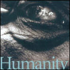 Humanity: A Moral History of the Twentieth Century